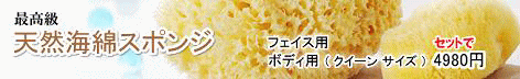 天然海綿バナー
