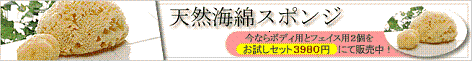 天然海綿バナー